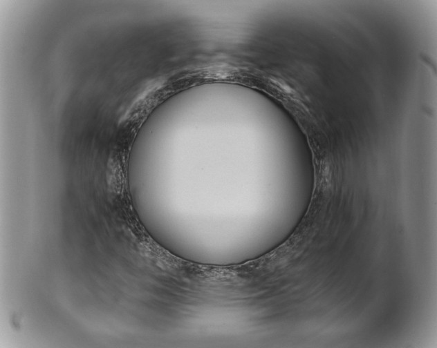X0000101221446200807071336
