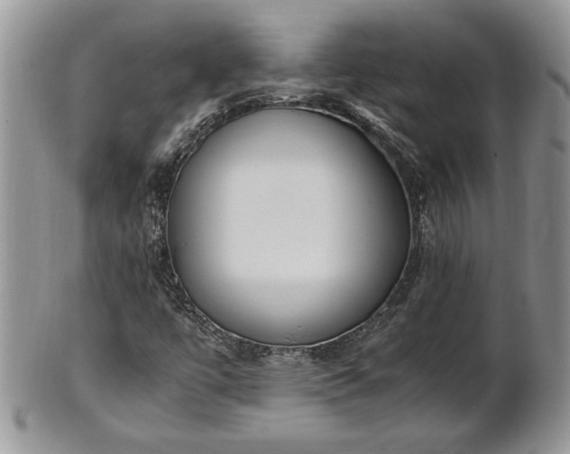 X0000101221447200807071336