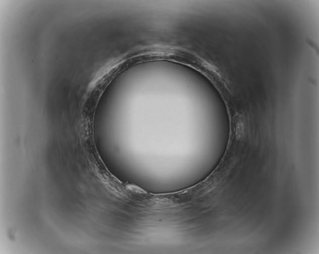 X0000101221448200807071336