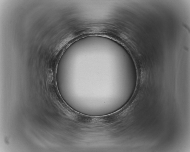 X0000101221449200807071336
