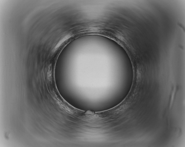 X0000101221450200807071336