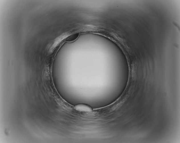 X0000101221453200807071336