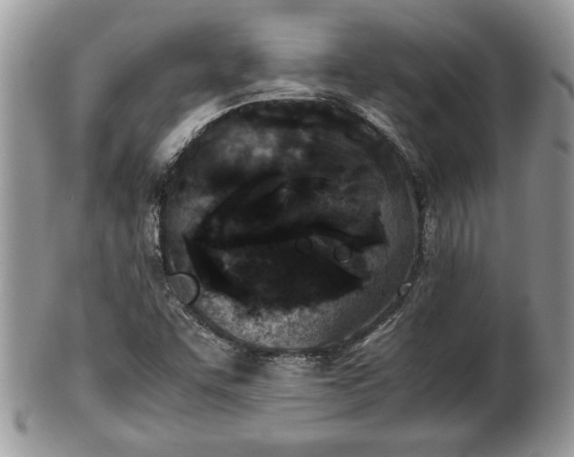 X0000101221455200807071336