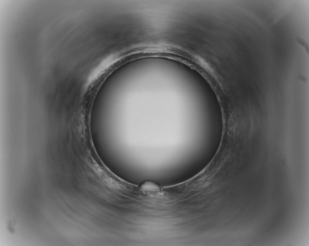 X0000101221456200807071336
