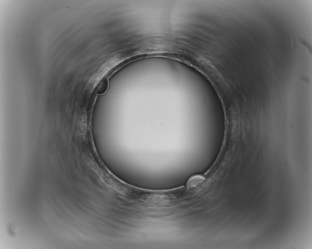 X0000101221457200807071336