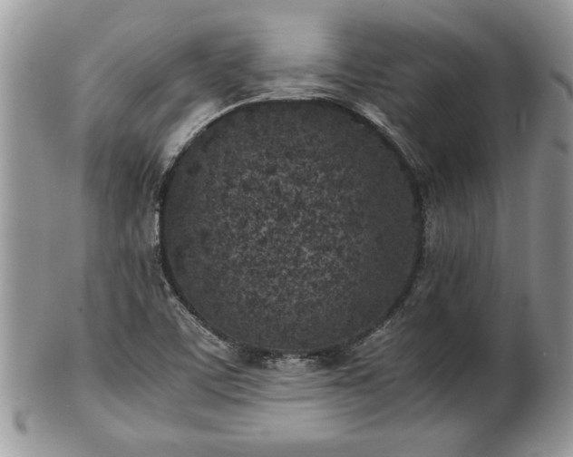 X0000101221459200807071336