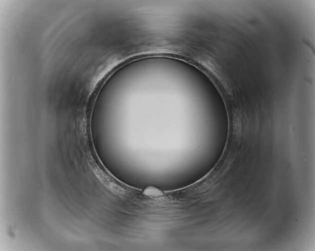 X0000101221460200807071336