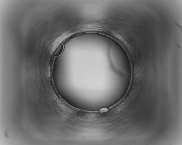 X0000101221461200807071336