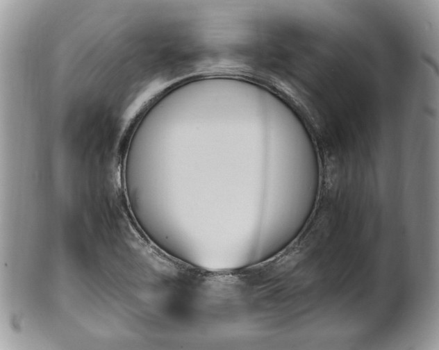 X0000101221462200807071336
