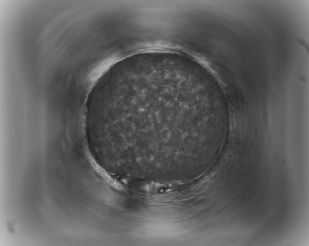 X0000101221463200807071336