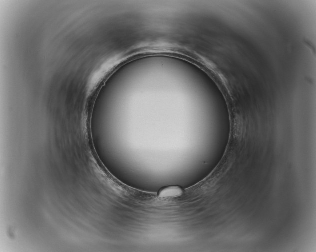 X0000101221464200807071336