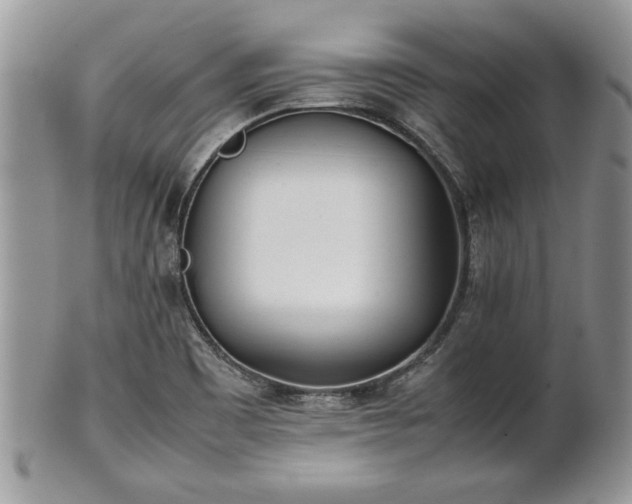 X0000101221465200807071336