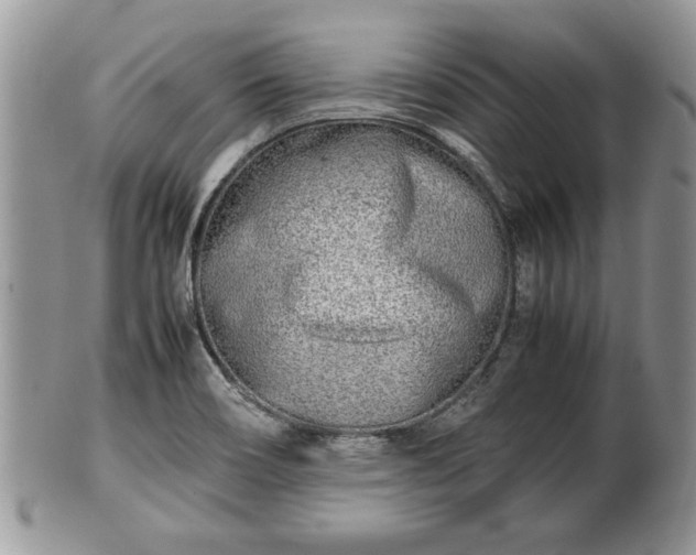 X0000101221466200807071336