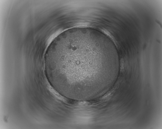 X0000101221467200807071336