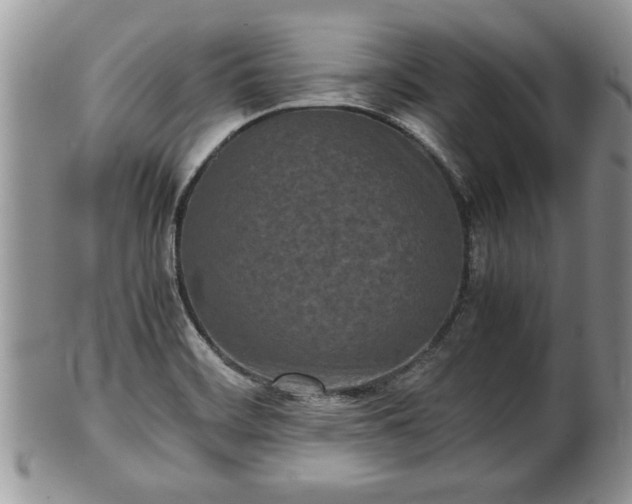X0000101221468200807071336