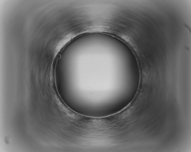 X0000101221469200807071336
