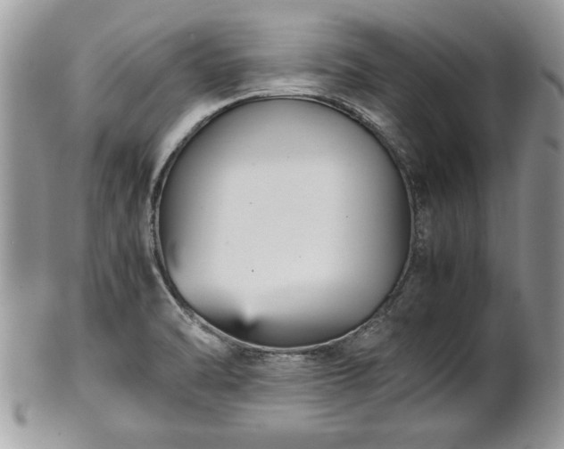 X0000101221470200807071336