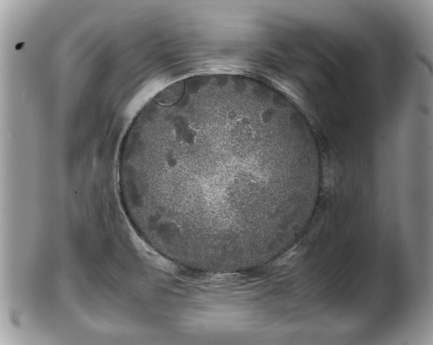 X0000101221471200807071336