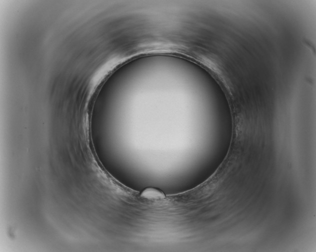 X0000101221472200807071336