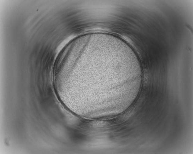X0000101221474200807071336