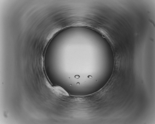 X0000101221476200807071336