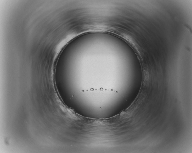 X0000101221480200807071335