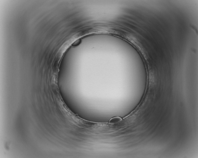 X0000101221481200807071335