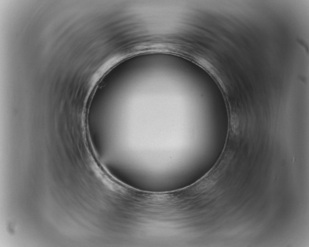 X0000101221482200807071335