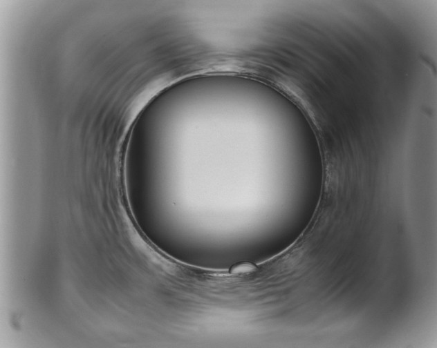X0000101221483200807071335
