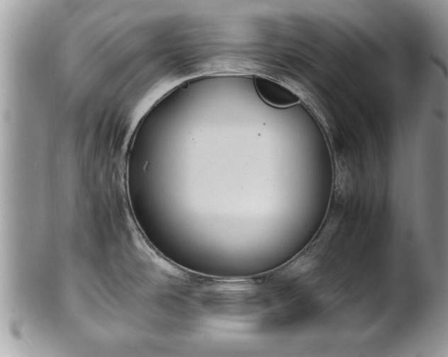 X0000101221486200807071335