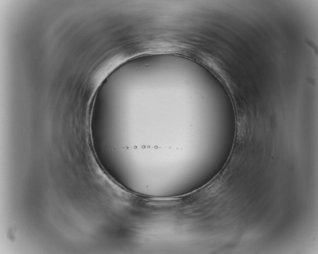 X0000101221487200807071335