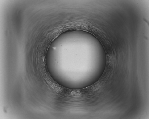 X0000101221489200807071335