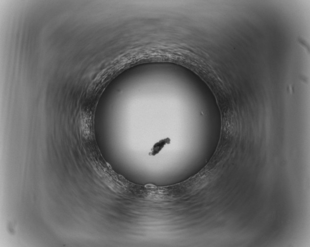 X0000101221490200807071335