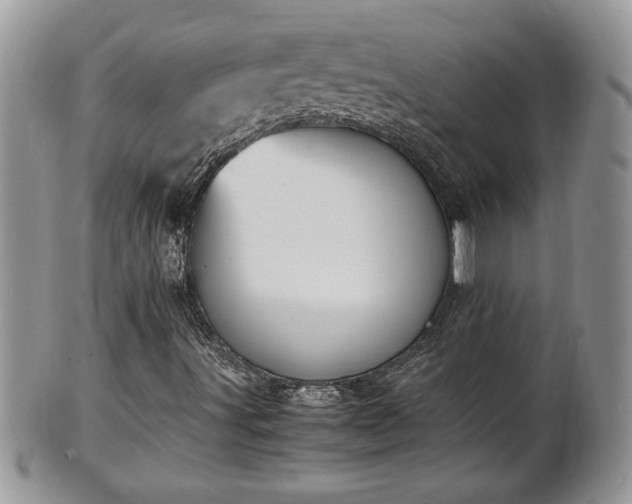 X0000101221491200807071335