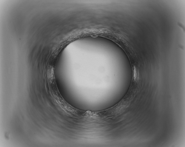 X0000101221492200807071335