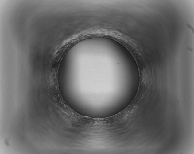 X0000101221494200807071335