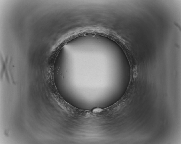 X0000101221496200807071335