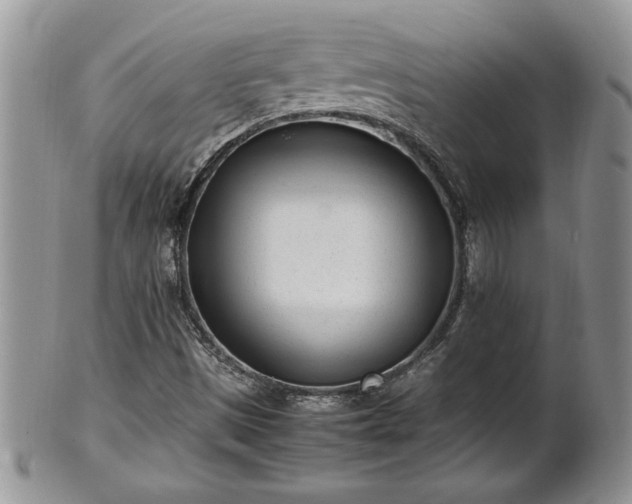 X0000101221497200807071335