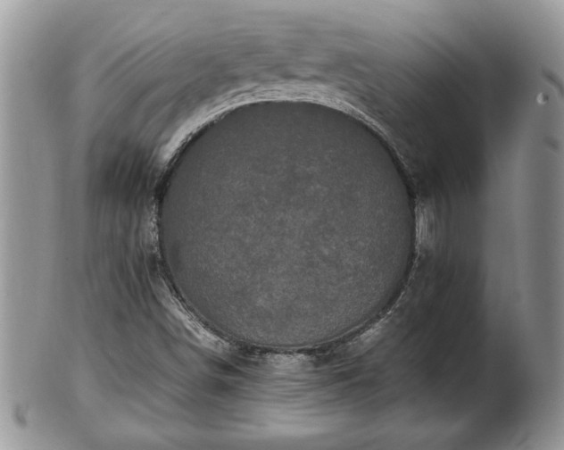 X0000101221498200807071335