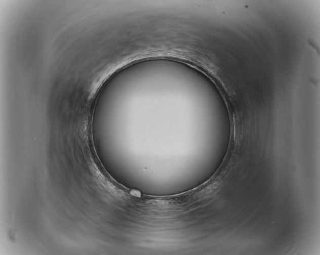 X0000101221500200807071335