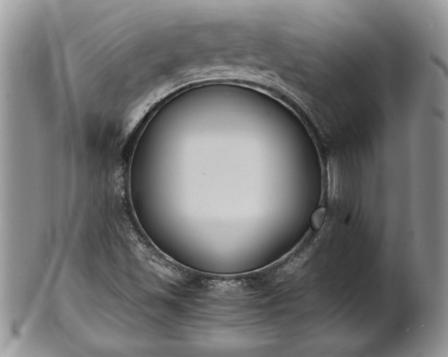 X0000101221501200807071335