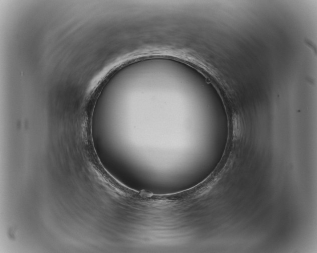 X0000101221502200807071335