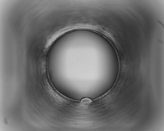 X0000101221504200807071335