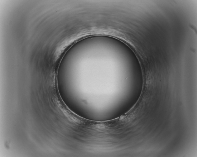 X0000101221507200807071335