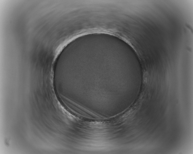 X0000101221508200807071335