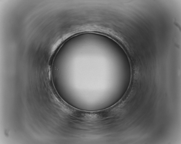 X0000101221509200807071335