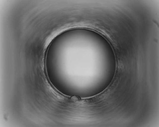 X0000101221512200807071335