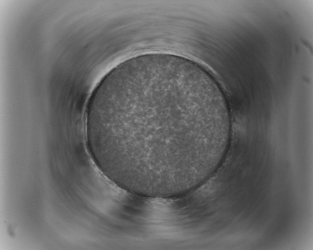X0000101221514200807071335