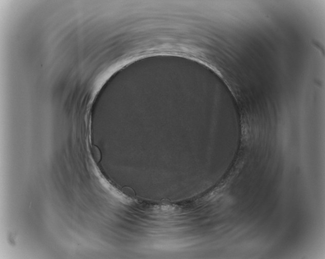 X0000101221515200807071335