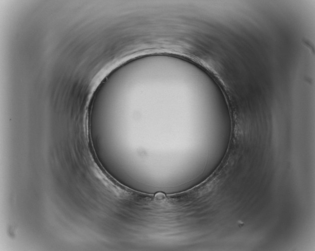 X0000101221516200807071335